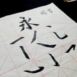 基礎課程 Starter course (8堂/ 8 classes)